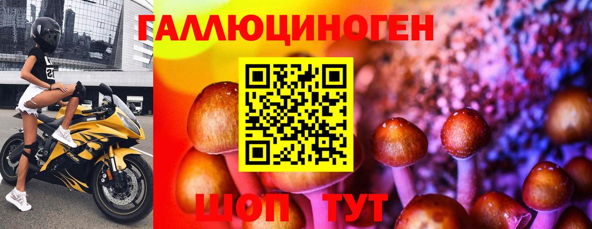 Галлюциногенные грибы ЛСД Ленинск-Кузнецкий