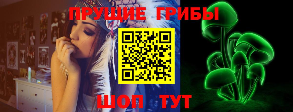 Ленинск-Кузнецкий  Псилоцибиновые грибы GOLDEN TEACHER  Вход с VPN 